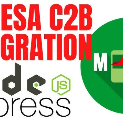 Integrating M-Pesa API with Node.js